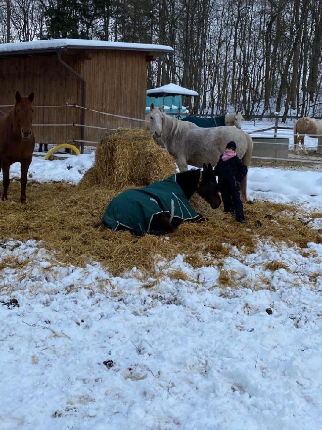 Zimní postýlka ze slámy